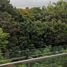 2 Bedroom Condo for rent at Ficus Lane, Phra Khanong