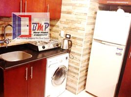 Studio Apartment for rent at Easy Life, South Investors Area