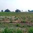  Land for sale in Suphan Buri, Doem Bang, Doem Bang Nang Buat, Suphan Buri