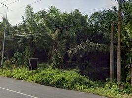  Grundstück zu verkaufen in Thap Put, Phangnga, Bo Saen