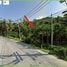  Land for sale in Koh Phangan Surat Thani, Ban Tai, Koh Phangan