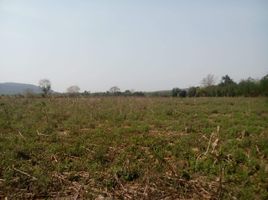  Land for sale in Nakhon Ratchasima, Lat Bua Khao, Sikhio, Nakhon Ratchasima