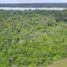  Land for sale in La Chorrera, Amazonas, La Chorrera