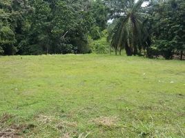  Land for sale at Manuel Antonio, Aguirre