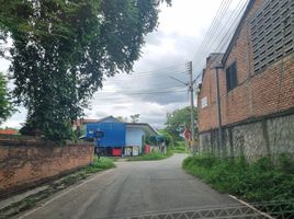 3 Schlafzimmer Reihenhaus zu verkaufen in San Kamphaeng, Chiang Mai, Ton Pao