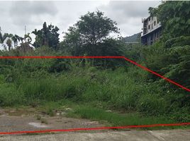  Land for sale in Kamala Beach, Kamala, Choeng Thale