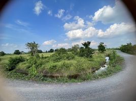  Land for sale in Nakhon Ratchasima, Non Mueang Phatthana, Dan Khun Thot, Nakhon Ratchasima