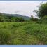  Land for sale in Phan, Chiang Rai, Mae O, Phan