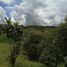  Land for sale in Perez Zeledon San Jose, Perez Zeledon