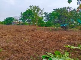  Land for sale in Thung Luk Nok, Kamphaeng Saen, Thung Luk Nok