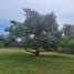  Land for sale in Sam Roi Yot, Prachuap Khiri Khan, Sam Roi Yot, Sam Roi Yot