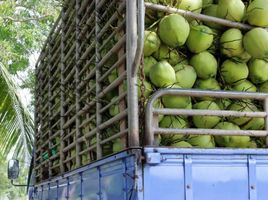  Grundstück zu verkaufen in Amatura, Amazonas, Amatura, Amazonas, Brasilien