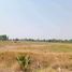  Land for sale in Chai Nat, Den Yai, Hankha, Chai Nat