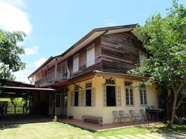 8 Schlafzimmer Villa zu verkaufen in San Sai, Chiang Mai, Nong Yaeng, San Sai, Chiang Mai