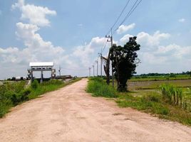  Land for sale in Chai Nat, Suk Duean Ha, Noen Kham, Chai Nat