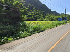  Land for sale in Nakhon Ratchasima, Phaya Yen, Pak Chong, Nakhon Ratchasima