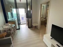 1 Bedroom Condo for rent at Nue Noble Srinakarin - Lasalle, Samrong Nuea