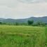  Land for sale in Doi Saket Chiang Mai, Choeng Doi, Doi Saket, Chiang Mai