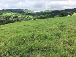  Land for sale in Guanacaste, Tilaran, Guanacaste