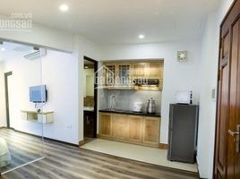 Studio Villa zu verkaufen in Tan Binh, Ho Chi Minh City, Ward 2