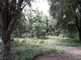  Land for sale in On Tai, San Kamphaeng, On Tai