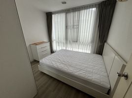 2 Schlafzimmer Appartement zu vermieten im D65 Condominium, Phra Khanong Nuea, Watthana, Bangkok, Thailand