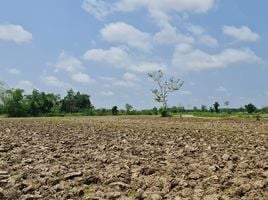  Land for sale in Mueang Chiang Rai Chiang Rai, Huai Sak, Mueang Chiang Rai, Chiang Rai, Thailand