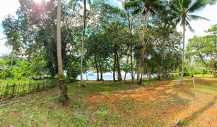 N/A Land for sale in Khao Thong, Krabi 
