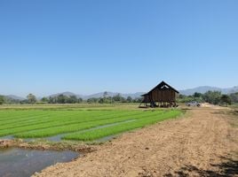  Grundstück zu verkaufen in San Sai, Chiang Mai, Nong Yaeng