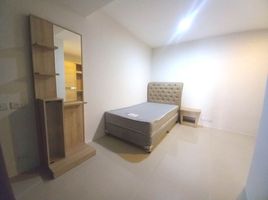 1 Schlafzimmer Appartement zu vermieten im The Waterford Diamond, Khlong Tan