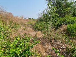  Land for sale in Bang Thorat, Mueang Samut Sakhon, Bang Thorat