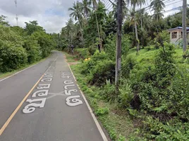  Grundstück zu verkaufen in Ko Chang, Trat, Ko Chang Tai, Ko Chang, Trat