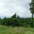  Land for sale in Khi Lek, Chiang Mai, Khi Lek