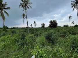  Land for sale in Great&Grand Sweet Destination, Pong, Pong