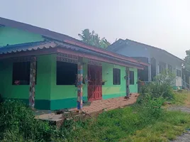  Grundstück zu verkaufen in Kanchanadit, Surat Thani, Kadae, Kanchanadit