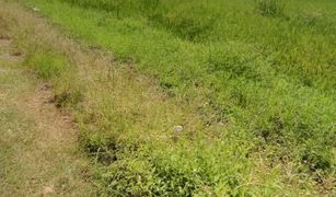 N/A Land for sale in Singhanat, Phra Nakhon Si Ayutthaya 
