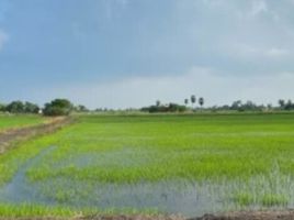  Land for sale in Wiset Chai Chan, Ang Thong, Phai Wong, Wiset Chai Chan