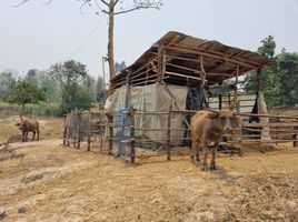  Grundstück zu verkaufen in Mae Taeng, Chiang Mai, Mae Taeng, Mae Taeng