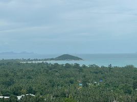  Grundstück zu verkaufen in Koh Samui, Surat Thani, Lipa Noi, Koh Samui, Surat Thani