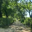  Land for sale in Argentina, Anta, Salta, Argentina