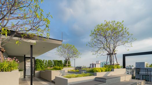 Photos 1 of the Communal Garden Area at B-Loft Lite Sukhumvit 107 