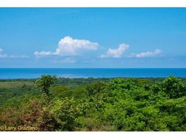  Land for sale in Guanacaste, Santa Cruz, Guanacaste