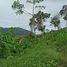  Land for sale in Premium Outlet Phuket, Ko Kaeo, Ko Kaeo