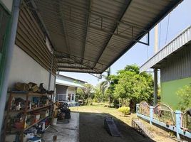 3 Schlafzimmer Haus zu verkaufen in Kamphaeng Saen, Nakhon Pathom, Kamphaeng Saen, Kamphaeng Saen