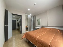 1 Schlafzimmer Appartement zu vermieten im One Plus Suandok 8, Suthep