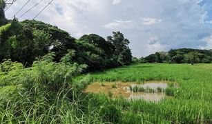 N/A Land for sale in Muang Ngam, Saraburi 