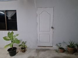5 Schlafzimmer Haus zu vermieten in San Klang, San Kamphaeng, San Klang