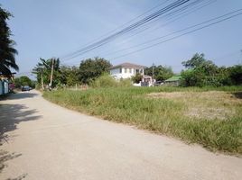  Land for sale in Pak Chong, Nakhon Ratchasima, Pak Chong, Pak Chong