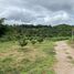  Land for sale in Tha Khanun, Thong Pha Phum, Tha Khanun