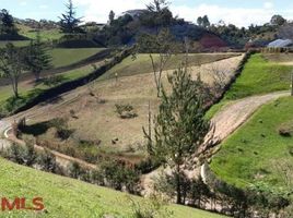  Grundstück zu verkaufen in Medellin, Antioquia, Medellin, Antioquia